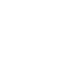 in 